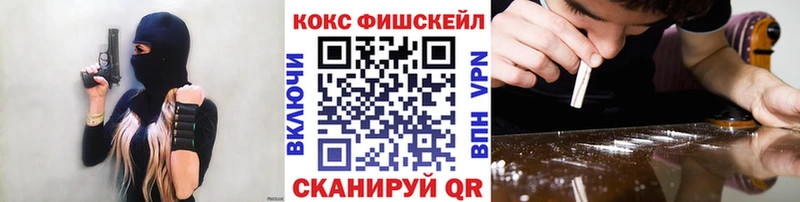 kraken Советск COCAIN Fish Scale