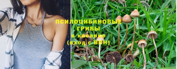 не бодяженный Армянск