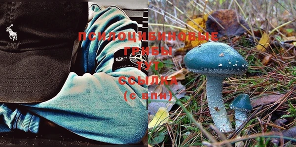 бошки Арсеньев