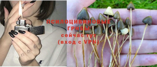 бошки Арсеньев